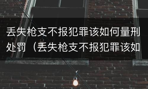 丢失枪支不报犯罪该如何量刑处罚（丢失枪支不报犯罪该如何量刑处罚标准）