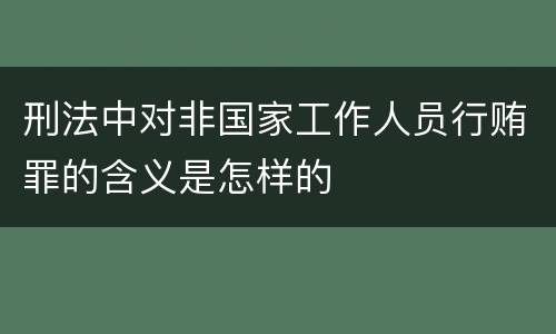 刑法中对非国家工作人员行贿罪的含义是怎样的