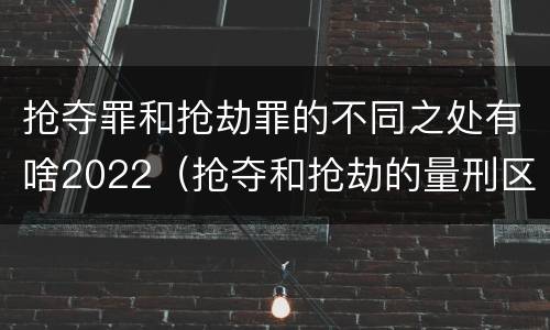 抢夺罪和抢劫罪的不同之处有啥2022（抢夺和抢劫的量刑区别）