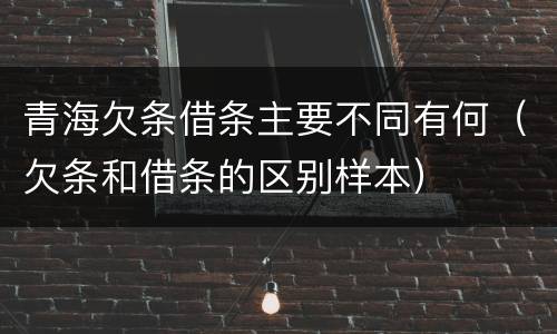 青海欠条借条主要不同有何（欠条和借条的区别样本）