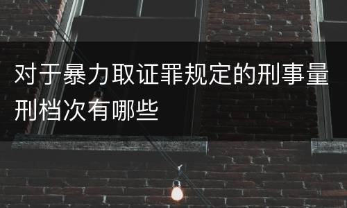 对于暴力取证罪规定的刑事量刑档次有哪些