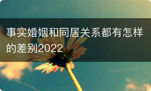 事实婚姻和同居关系都有怎样的差别2022