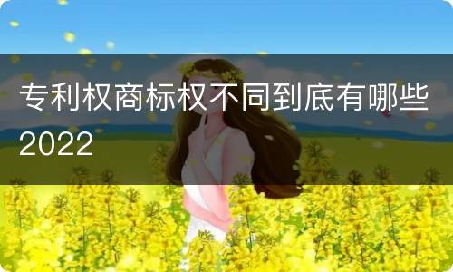 专利权商标权不同到底有哪些2022