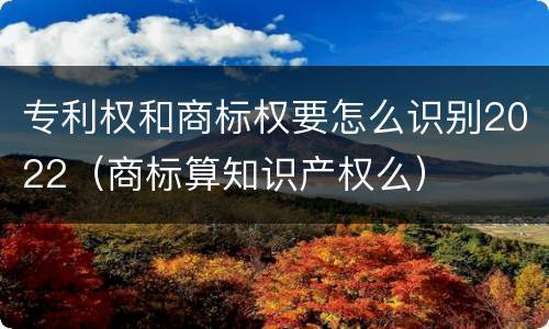 专利权和商标权要怎么识别2022（商标算知识产权么）