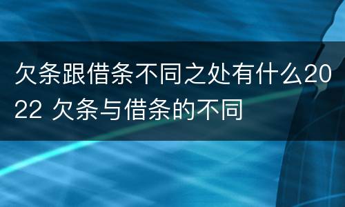 欠条跟借条不同之处有什么2022 欠条与借条的不同