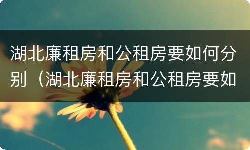 湖北廉租房和公租房要如何分别（湖北廉租房和公租房要如何分别购买）