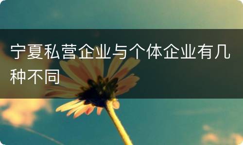 宁夏私营企业与个体企业有几种不同