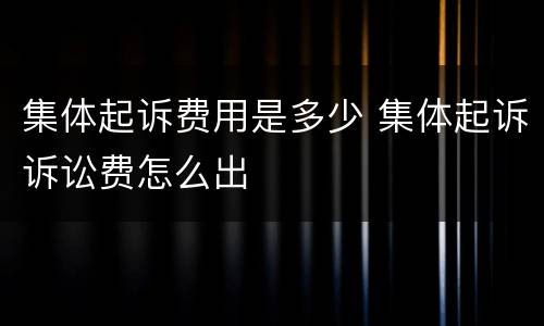 集体起诉费用是多少 集体起诉诉讼费怎么出