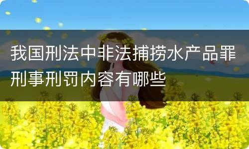 我国刑法中非法捕捞水产品罪刑事刑罚内容有哪些