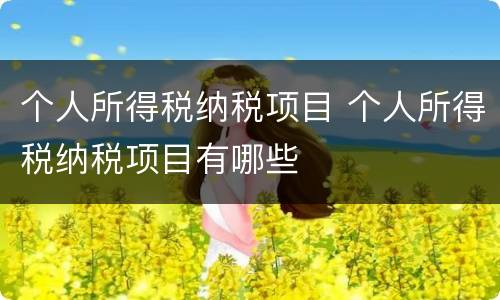 个人所得税纳税项目 个人所得税纳税项目有哪些