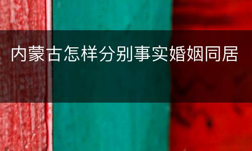 内蒙古怎样分别事实婚姻同居