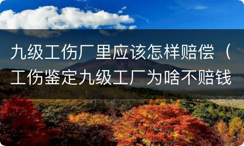 九级工伤厂里应该怎样赔偿（工伤鉴定九级工厂为啥不赔钱）