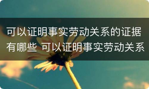 可以证明事实劳动关系的证据有哪些 可以证明事实劳动关系的证据有哪些内容