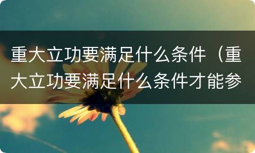 重大立功要满足什么条件（重大立功要满足什么条件才能参加）