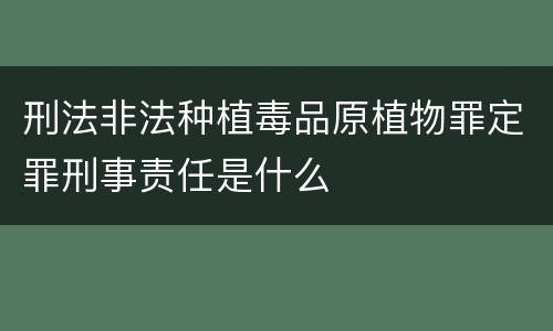 刑法非法种植毒品原植物罪定罪刑事责任是什么
