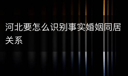 河北要怎么识别事实婚姻同居关系