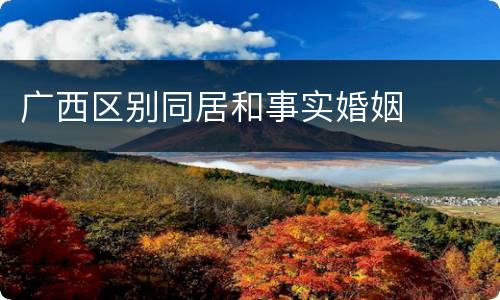 广西区别同居和事实婚姻