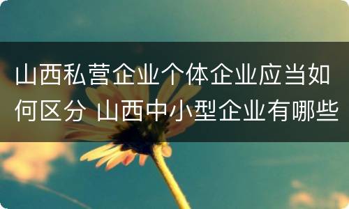 山西私营企业个体企业应当如何区分 山西中小型企业有哪些