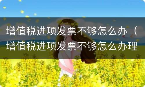 增值税进项发票不够怎么办（增值税进项发票不够怎么办理）