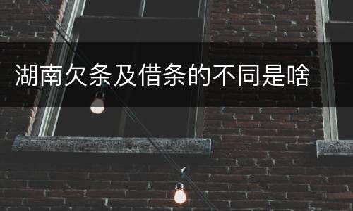 湖南欠条及借条的不同是啥