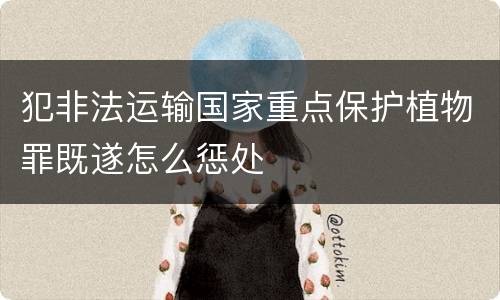 犯非法运输国家重点保护植物罪既遂怎么惩处