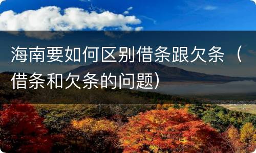 海南要如何区别借条跟欠条（借条和欠条的问题）