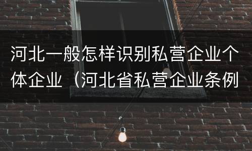 河北一般怎样识别私营企业个体企业（河北省私营企业条例）