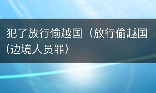犯了放行偷越国（放行偷越国(边境人员罪）