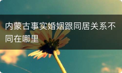 内蒙古事实婚姻跟同居关系不同在哪里