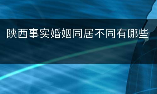陕西事实婚姻同居不同有哪些