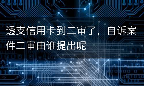透支信用卡到二审了,自诉案件二审由谁提出呢