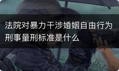 法院对暴力干涉婚姻自由行为刑事量刑标准是什么