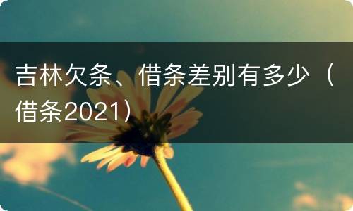 吉林欠条、借条差别有多少（借条2021）
