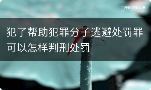 犯了帮助犯罪分子逃避处罚罪可以怎样判刑处罚