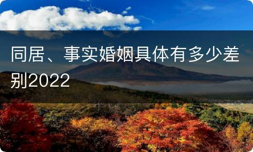 同居、事实婚姻具体有多少差别2022