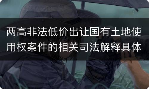 两高非法低价出让国有土地使用权案件的相关司法解释具体有哪些重要内容