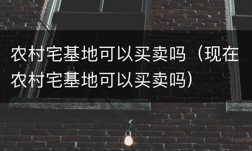 农村宅基地可以买卖吗（现在农村宅基地可以买卖吗）