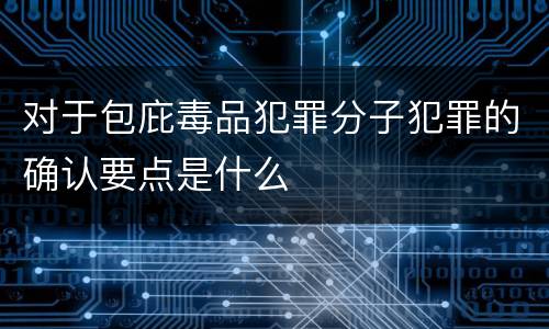 对于包庇毒品犯罪分子犯罪的确认要点是什么