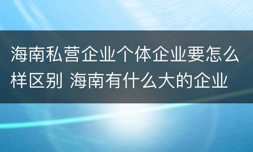 海南私营企业个体企业要怎么样区别 海南有什么大的企业