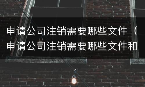 申请公司注销需要哪些文件（申请公司注销需要哪些文件和材料）