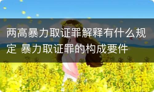 两高暴力取证罪解释有什么规定 暴力取证罪的构成要件