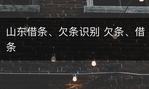 山东借条、欠条识别 欠条、借条