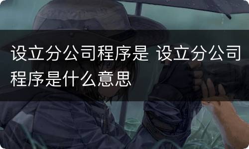 设立分公司程序是 设立分公司程序是什么意思