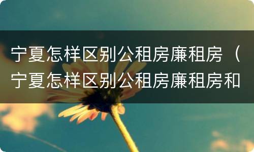 宁夏怎样区别公租房廉租房（宁夏怎样区别公租房廉租房和住宅）