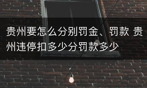贵州要怎么分别罚金、罚款 贵州违停扣多少分罚款多少