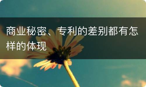商业秘密、专利的差别都有怎样的体现
