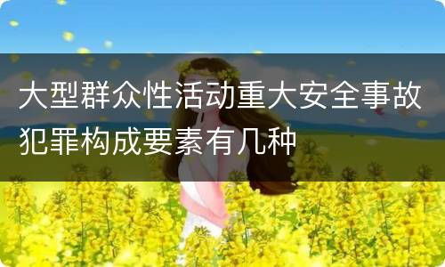 大型群众性活动重大安全事故犯罪构成要素有几种