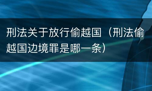 刑法关于放行偷越国（刑法偷越国边境罪是哪一条）