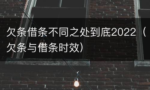 欠条借条不同之处到底2022（欠条与借条时效）