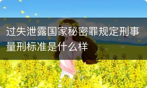 过失泄露国家秘密罪规定刑事量刑标准是什么样